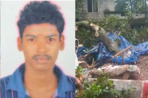 ശക്തമായ കാറ്റിൽ മരം ഒടിഞ്ഞുവീണ് യുവാവിന് ദാരുണാന്ത്യം. 